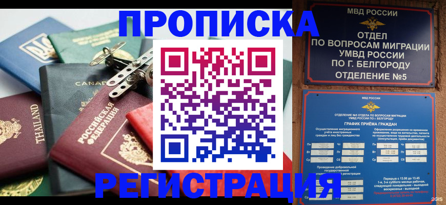 временная регистрация недорого в Называевске